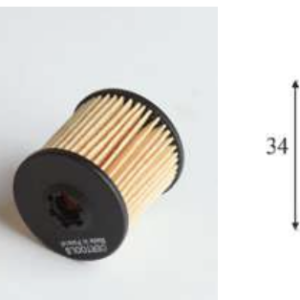 Filtro GLP Tartarini papel 31x34